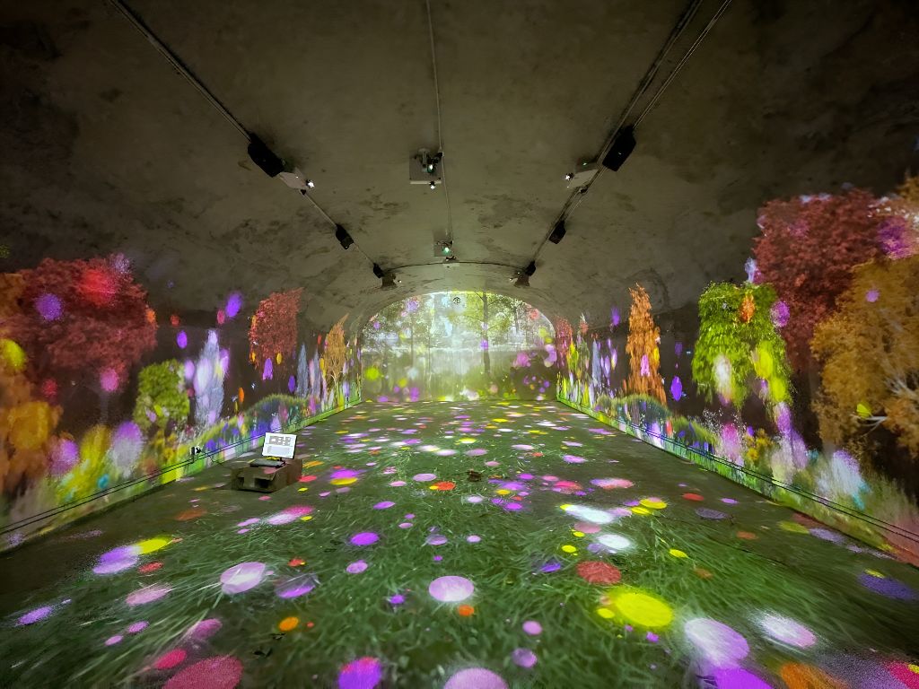 전시·관공서 빔프로젝터·스크린 매니저 콘텐츠 몰입형 플라워 아트